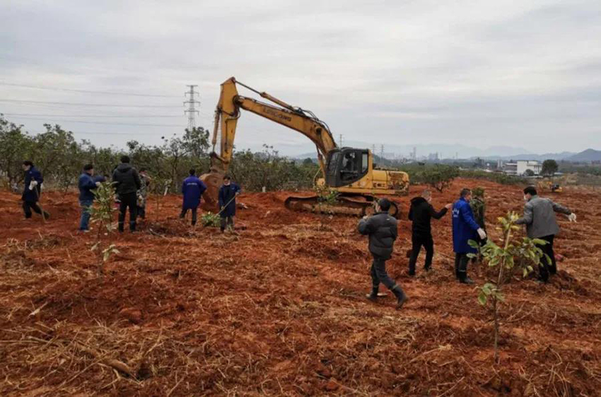 微信图片_20200312101403.jpg 微信图片_20200312101403.jpg